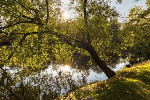 Lucey  Environnement. Élagage et broyage : entretien du jardin d'eau des  Roises